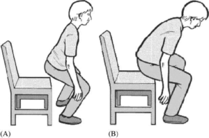 Sit to stand diagram