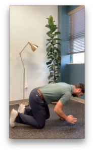 Position one of bird dog exercise