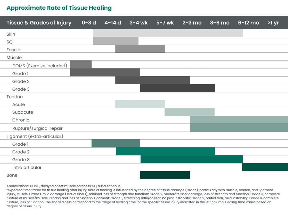Tissue healing timelines