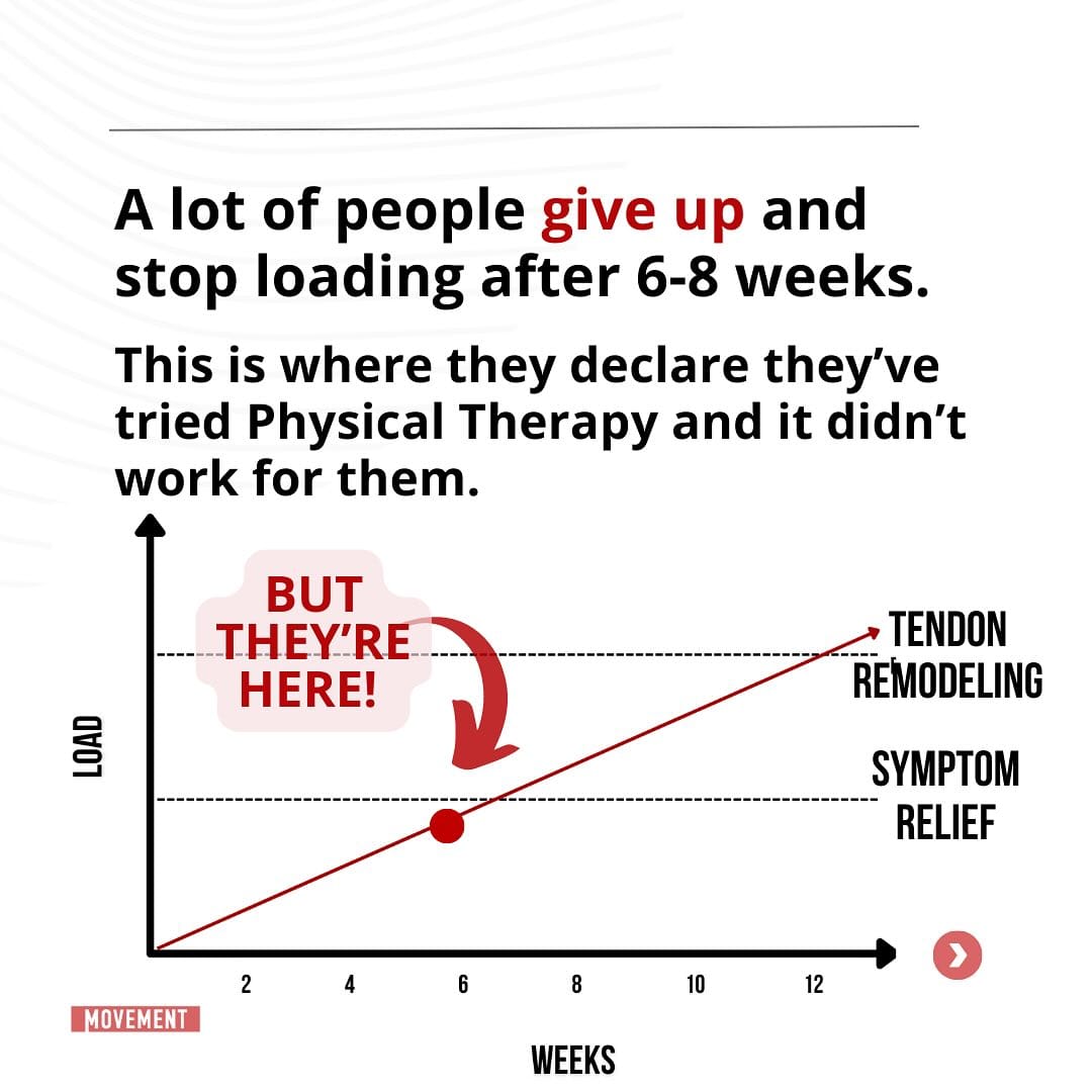 Tendon healing timeline